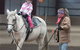 JE Resort (Jindabyne Equestrian Resort) - thumb 3