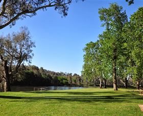 Albury Paddlesteamer Motel - Albury - Coogee Beach Accommodation 3