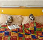 Budget Winchester Motel - Moree - Coogee Beach Accommodation