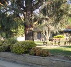 Hamilton Hume Motor Inn - Yass - Coogee Beach Accommodation
