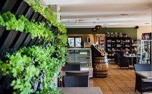 Leisure Inn Pokolbin Hill - Pokolbin - Coogee Beach Accommodation 4
