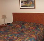 Lion Rampant Hotel - Mittagong - Coogee Beach Accommodation