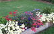 Narromine Tourist Park And Motel - Narromine - thumb 1