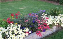 Narromine Tourist Park And Motel - Narromine - Coogee Beach Accommodation 1