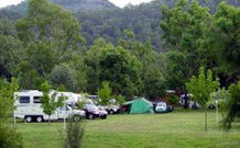 Sandy Hollow Tourist Park - Sandy Hollow - Coogee Beach Accommodation 0