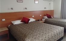 Scone Motor Inn - Scone - Coogee Beach Accommodation 6