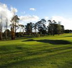 Tenterfield Golf Club and Fairways Lodge - Tenterfield - Coogee Beach Accommodation