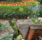 The Carrington Inn - Coogee Beach Accommodation