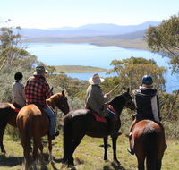Reynella Homestead and Horseback Rides - Coogee Beach Accommodation