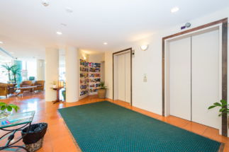 The Emerald Surfers Paradise - Coogee Beach Accommodation 1