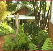CEDAR CROFT Bed  Breakfast - Coogee Beach Accommodation