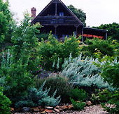 Country Charm Swiss Cottages - Coogee Beach Accommodation