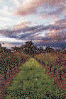 Lamonts Winery, Restaurant & Gallery - Coogee Beach Accommodation 0