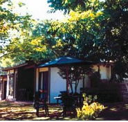 Forest Lodge - Coogee Beach Accommodation