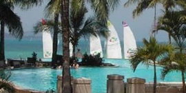 Hamilton Island Apartment - Coogee Beach Accommodation 0