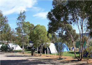 Flinders Ranges Caravan Park - Coogee Beach Accommodation 2