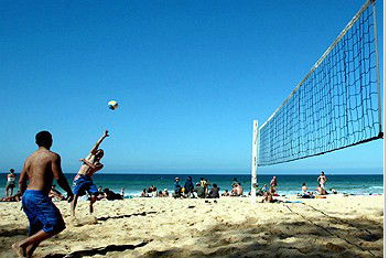 Manly Cottage Inn - Coogee Beach Accommodation 1