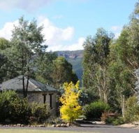 Secret Valley Escape - Coogee Beach Accommodation