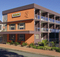 Port Aloha Motel - Coogee Beach Accommodation