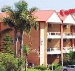 Harbour Royal Motel - Coogee Beach Accommodation