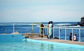 Harbour Royal Motel - Coogee Beach Accommodation 4