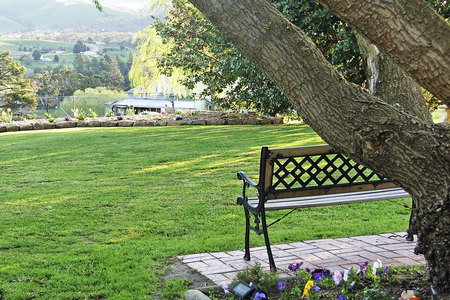 Omeo Motel - Coogee Beach Accommodation 5