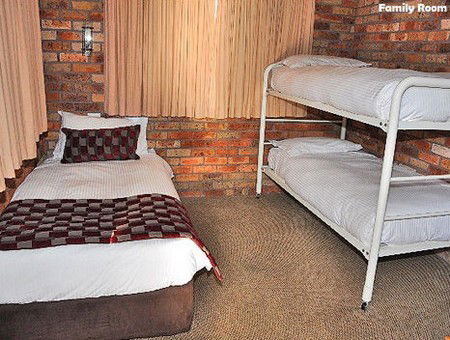 Log Cabin - Coogee Beach Accommodation 3