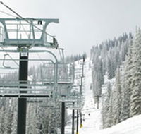 Swagman Chalet - Coogee Beach Accommodation