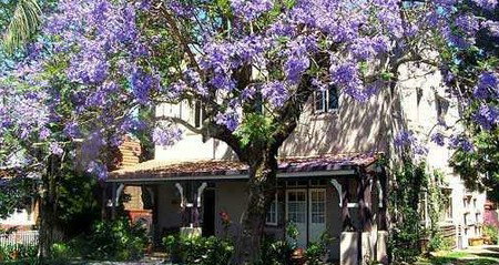 Burwood Boronia Lodge Private Hotel - Coogee Beach Accommodation 2