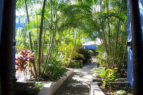 Portobello By The Sea - Coogee Beach Accommodation 2