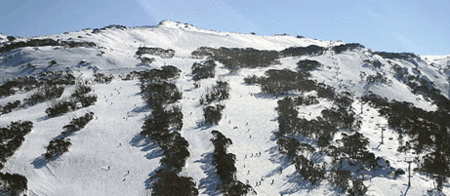 Thredbo Alpine Hotel - Coogee Beach Accommodation