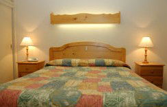 Best Western Fawkner Airport Motor Inn & Serviced Apartments - Coogee Beach Accommodation 1
