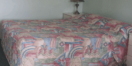 Panorama City Hotel Motel - Coogee Beach Accommodation 1