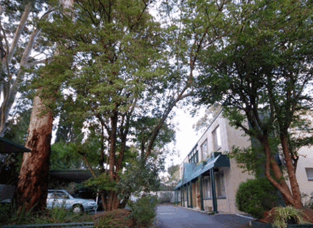 Adelaide Oakford Apartments - Coogee Beach Accommodation 0