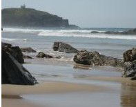 Oasis Holiday Resort - Coogee Beach Accommodation 2