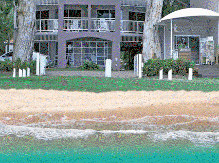 Coral Horizons Beachfront Apartments - Coogee Beach Accommodation 5