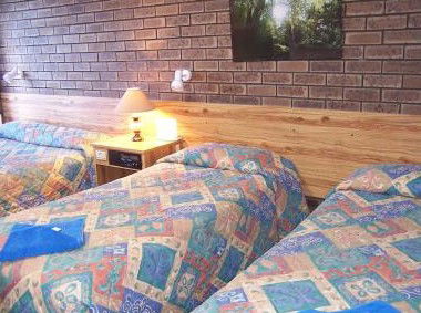 Best Western Garden Court Motel - Coogee Beach Accommodation 3