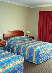 The Shamrock Gardens Motel - Coogee Beach Accommodation 1