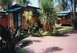 Paradise Park Cabins - Coogee Beach Accommodation 5