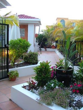 Shaz Maisons Beachside Holiday Apartments - Coogee Beach Accommodation 0