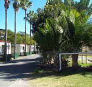 Premier Caravan Park - Coogee Beach Accommodation