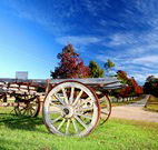 The Oaks Ranch and Country Club - Mossy Point - Coogee Beach Accommodation