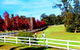 The Oaks Ranch And Country Club - Mossy Point - thumb 1