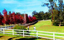 The Oaks Ranch And Country Club - Mossy Point - Coogee Beach Accommodation 1