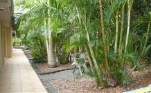 Tiarri Terrigal - Terrigal - Coogee Beach Accommodation 2