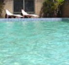 Toreador Motel - Coffs Harbour - Coogee Beach Accommodation