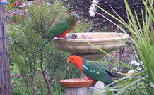 Valley View Motel Murrurundi - Murrurundi - Coogee Beach Accommodation 4