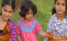 Barrington Tops Organic Retreat - Coogee Beach Accommodation 2