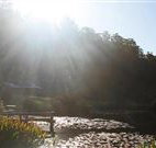 Blair Athol Estate - Coogee Beach Accommodation