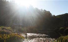Blair Athol Estate - Coogee Beach Accommodation 0